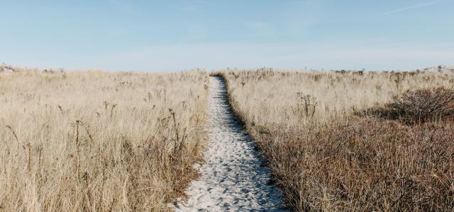 Leave Legacy through Planned Giving | South Western Wealth Management